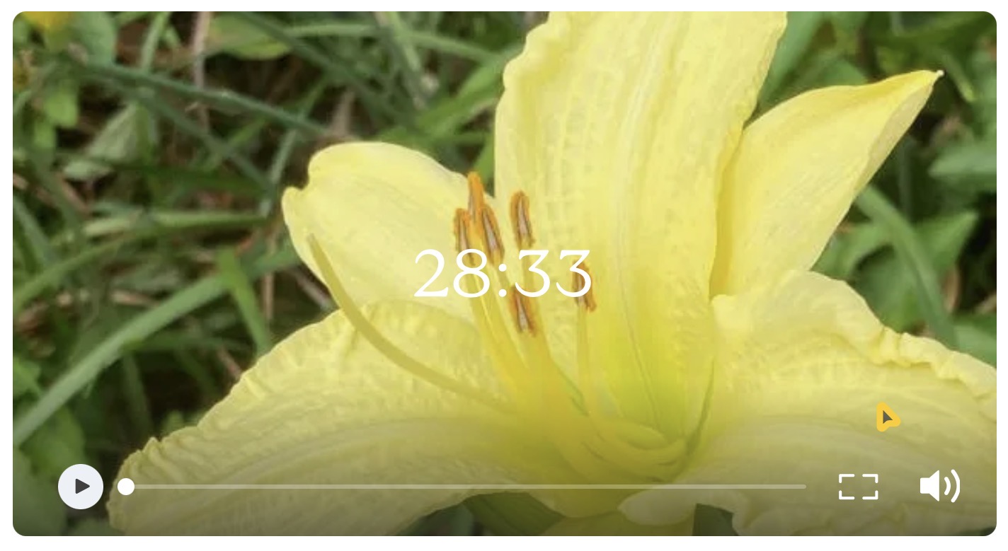 Guided meditation on hindrance of doubt